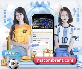 平台简介